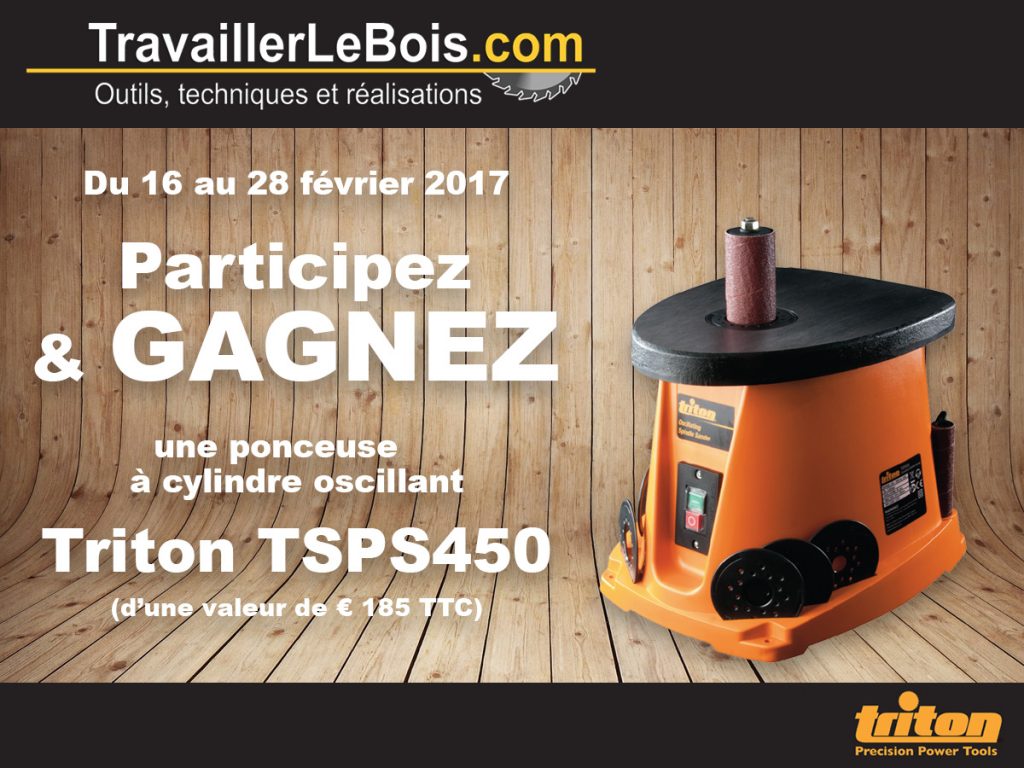 Concours ponceuse à cylindre oscillant Triton TSPS450