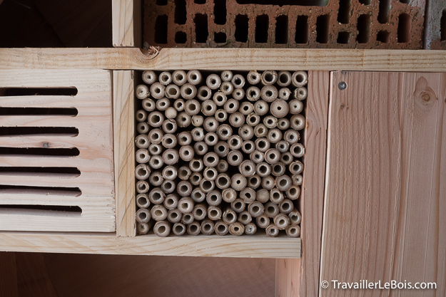 Construire un hôtel à insectes